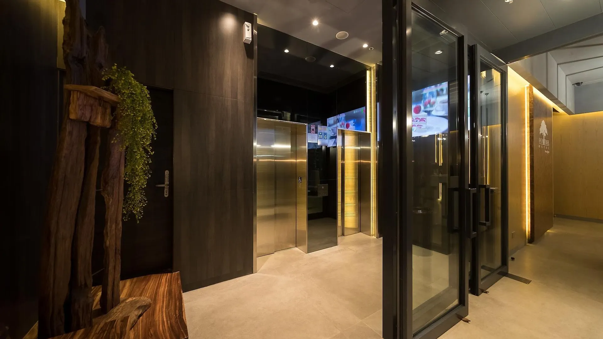 Eco Tree Hotel Causeway Bay Hongkong