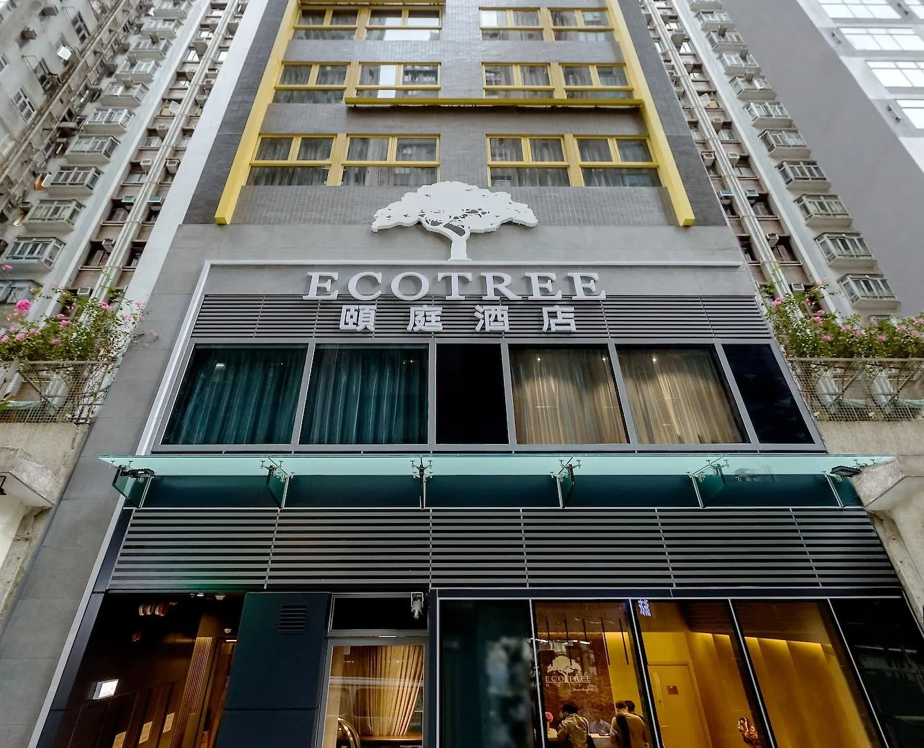 Eco Tree Hotel Causeway Bay Hong Kong